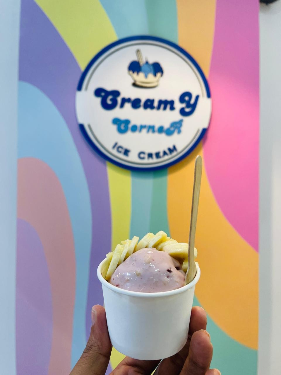 Creamy Corner Live Nitrogen Ice Cream